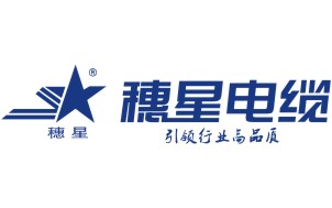 召開工會員工代表會議，助力穗星長遠發(fā)展