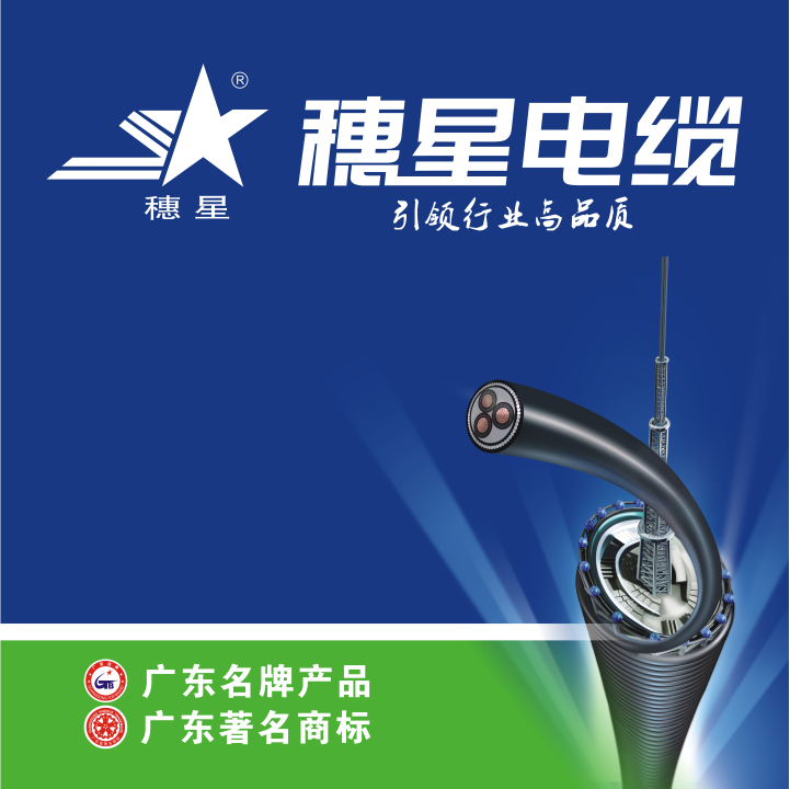 穗星電纜 ‖ 新標(biāo)準(zhǔn)解讀系列一： GB/T 9330新舊標(biāo)準(zhǔn)對(duì)比